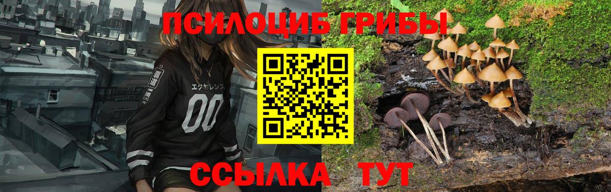 Галлюциногенные грибы GOLDEN TEACHER Нижний Тагил