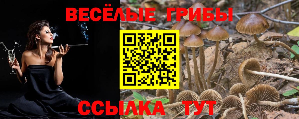купить наркотики сайты  Вход с VPN  Нижний Тагил  Галлюциногенные грибы мицелий 